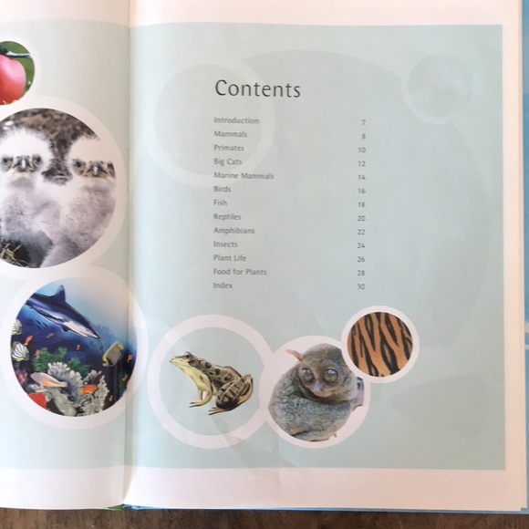 Lot of 4 Educational Books for Children - Picture 7 of 15